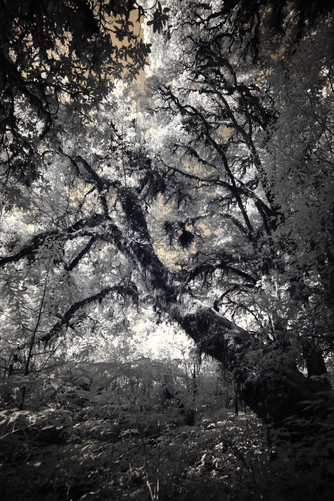 Black-and-white landscape photography by Atit Siri