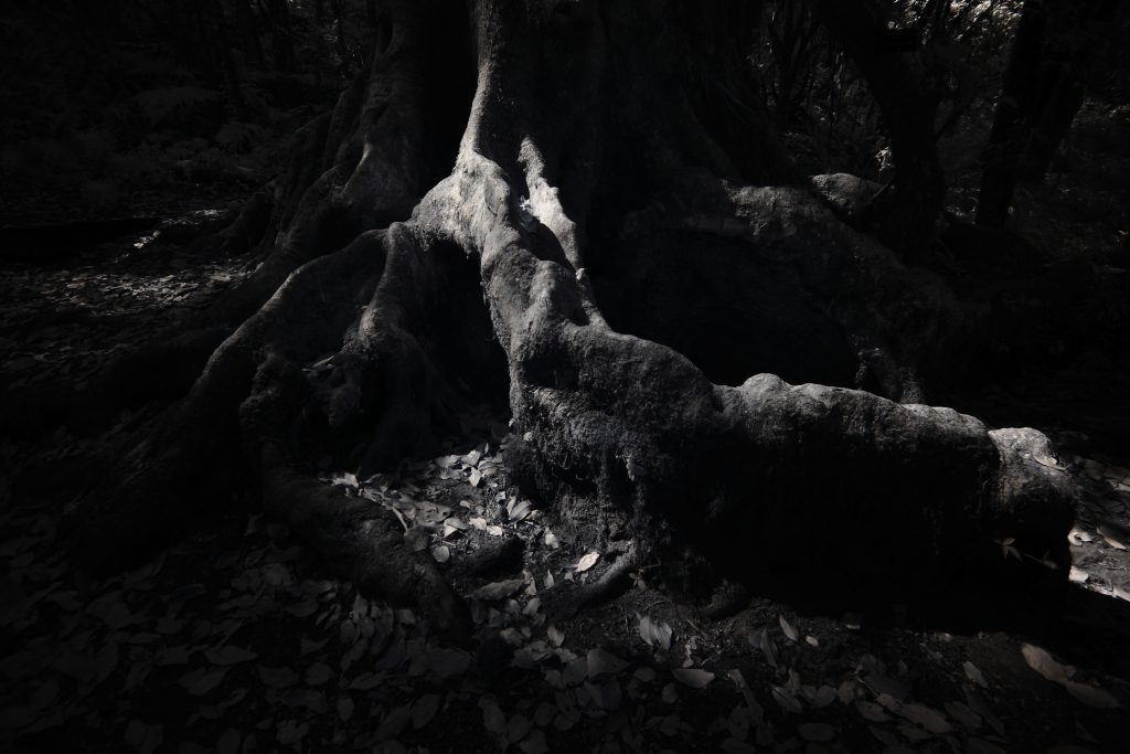 Black-and-white landscape photography by Atit Siri