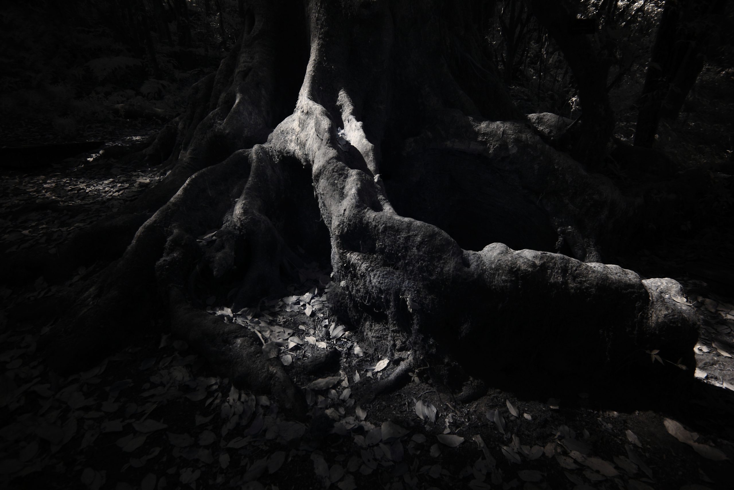 Black-and-white landscape photography by Atit Siri