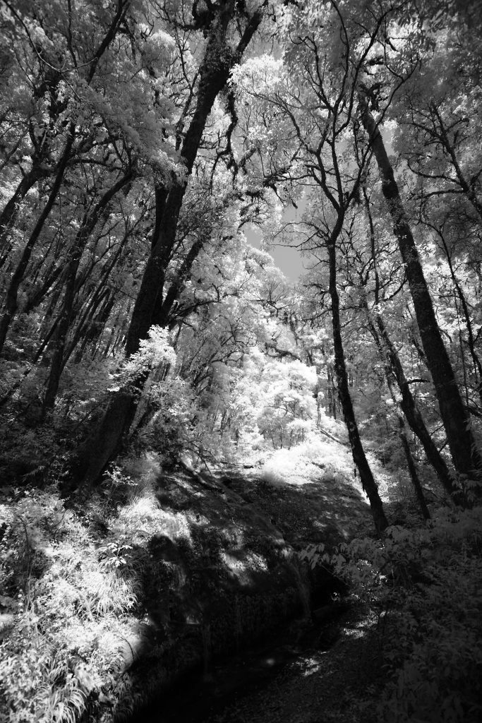 Black-and-white landscape photography by Atit Siri