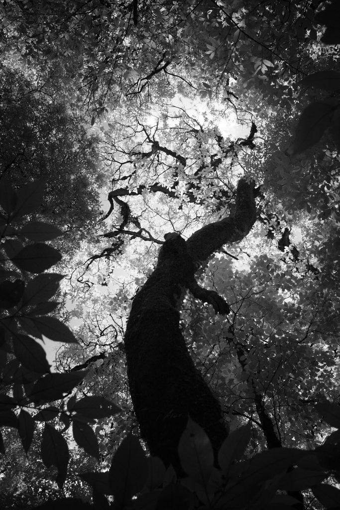 Black-and-white landscape photography by Atit Siri