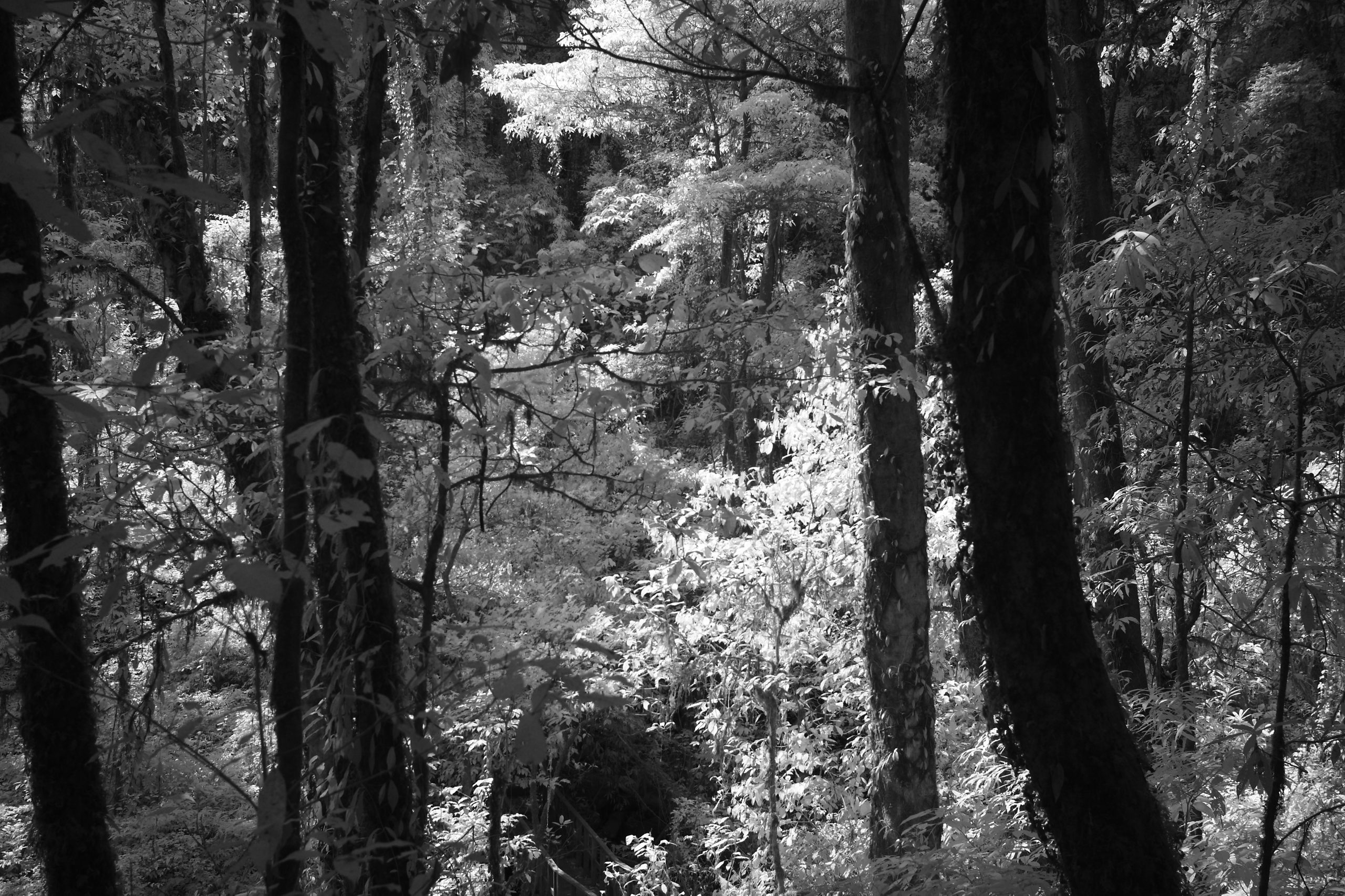 Black-and-white landscape photography by Atit Siri